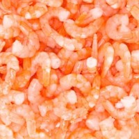Cooked Prawn Meat