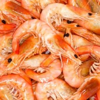 Cooked Whole King Prawns